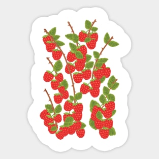 Raspberries Sticker